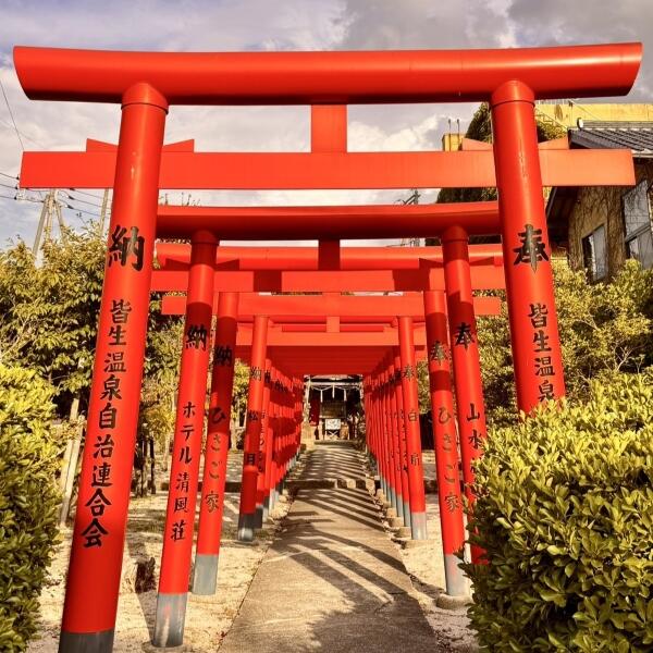 画像が入ります